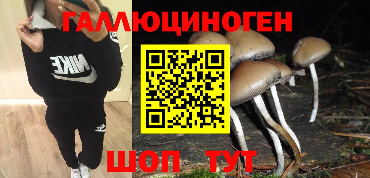 Галлюциногенные грибы Psilocybe  Вход с VPN  магазин  наркотиков  Славянск-на-Кубани 